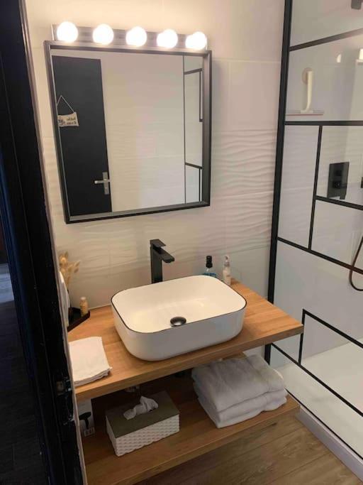 Villa 3 Chambres Parking Et Terrasse Plaisance-du-Touch Екстериор снимка